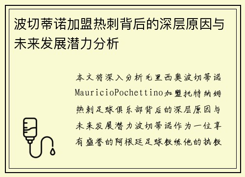 波切蒂诺加盟热刺背后的深层原因与未来发展潜力分析
